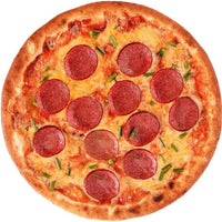 Cobertor de pizza coral quente WOSTAR  colcha de inverno